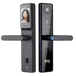 Tuya Wi-Fi Camera Electronic Fingerprint Smart Door Lock, Digital   Keyless Smart Door Lock